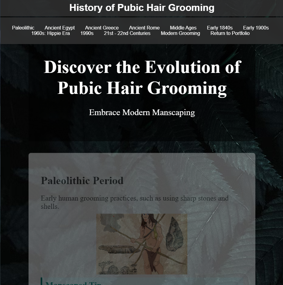 Website Showcase 1